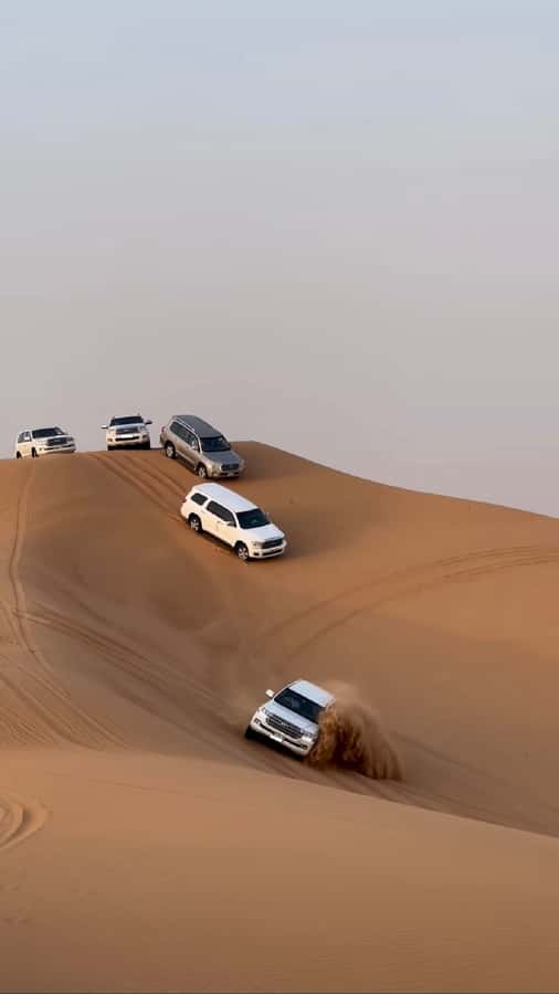 Doha Activities: Desert Safari, Dune Bashing & Inland Sea - From Doha to the open desert in 45 minutes