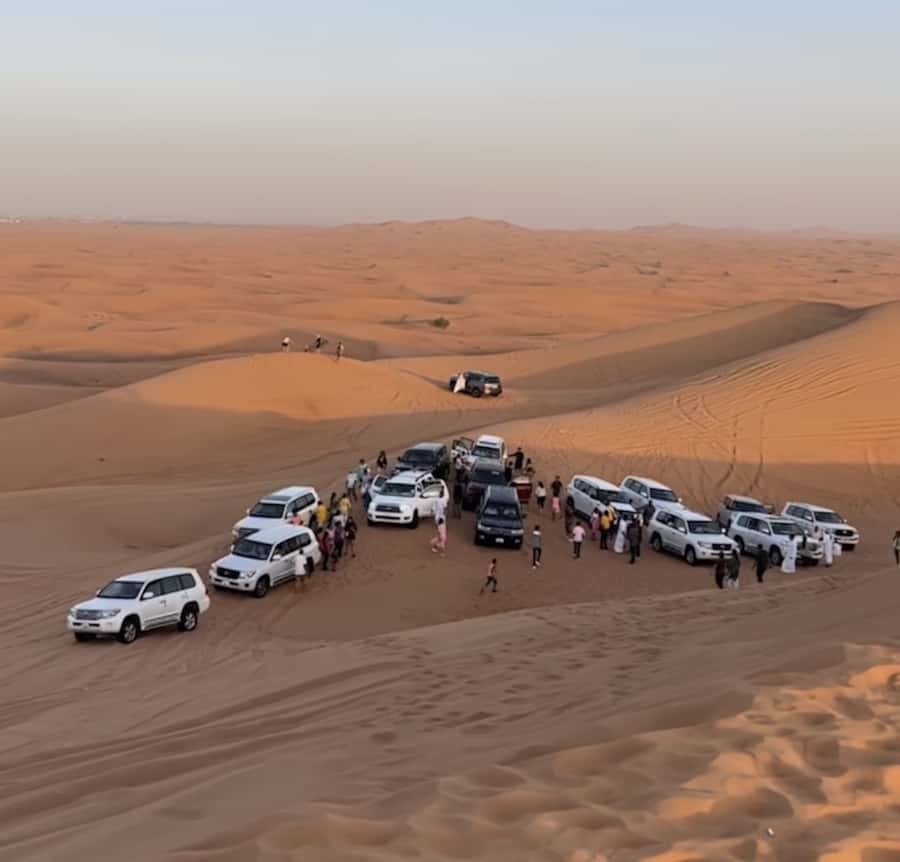Doha Activities: Desert Safari, Dune Bashing & Inland Sea - Who will enjoy this four-hour outing?