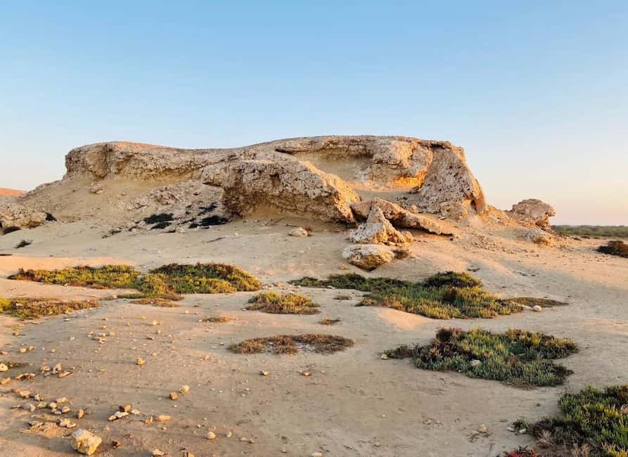 Doha: Al Zubara Fort, Al Jumail & Al Thakira Tour - Al Thakira mangroves and Purple Island