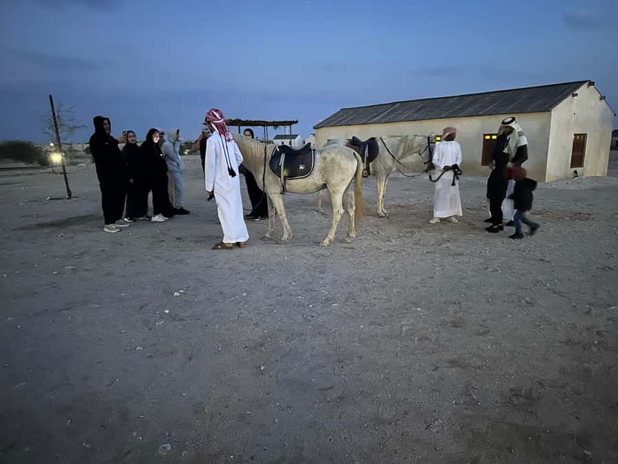 Doha: Al Zubarah fort, Al Khor,purple island+Olafur Eliasson - Purple Island and the mangroves