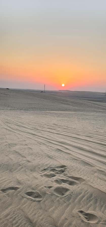 Doha: All inclusive Shared Desert Safari with Dune Bashing - Key points at a glance