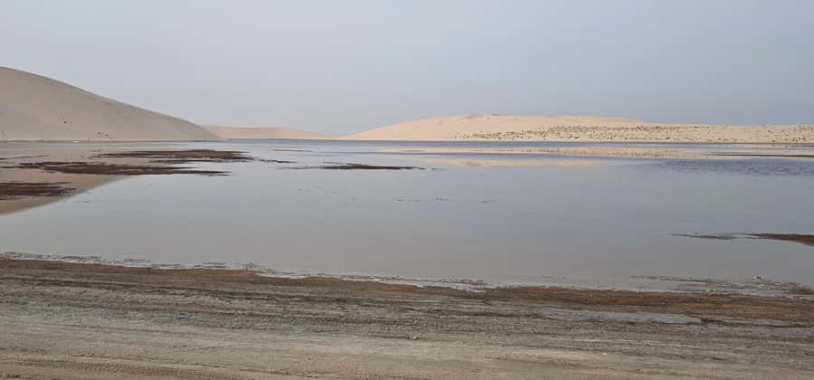Doha: All inclusive Shared Desert Safari with Dune Bashing - The first look at Inland Sea Beach