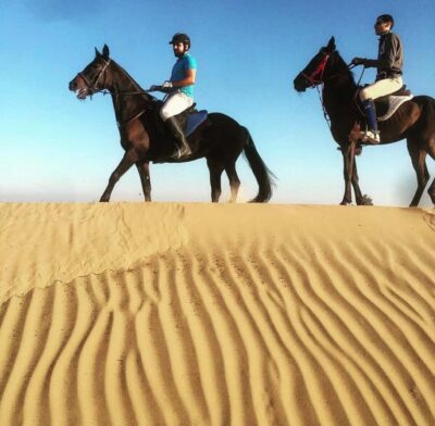 Arabian Horse Ride Experience With Pickup & Drop Off