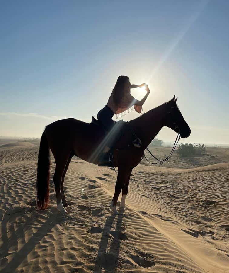 Doha : Arabian Horse Ride Experience With Pickup & Drop Off - Desert wildlife and the value of going slowly