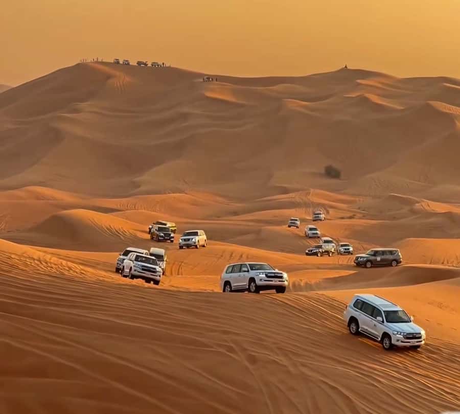 Doha : Arabian Horse Ride Experience With Pickup & Drop Off - What the $97 price includes