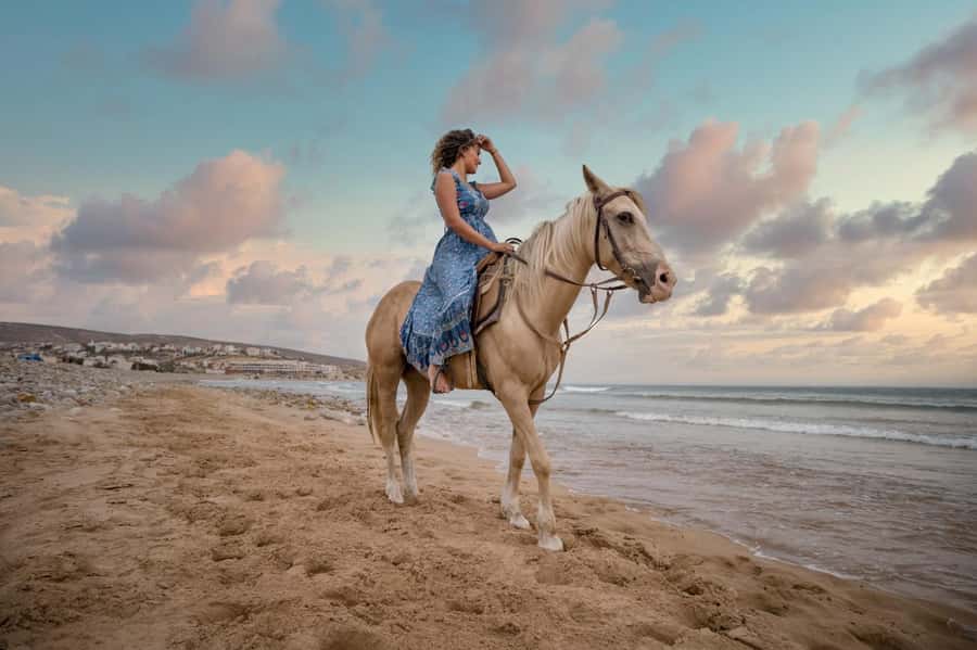 Doha : Arabian Horse Ride Experience With Transfer - Key points to know before you book