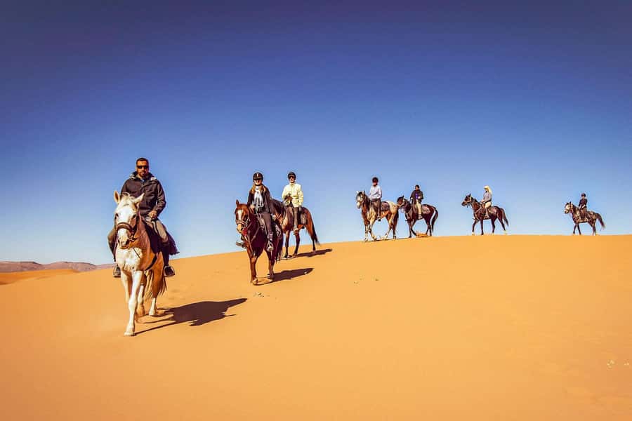 Doha : Arabian Horse Ride Experience With Transfer - From Doha to the open desert near Sealine
