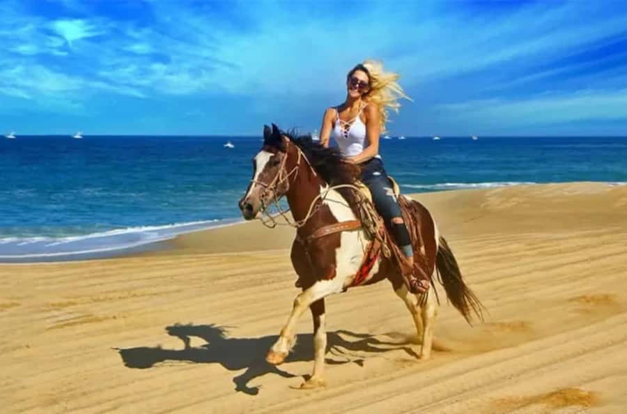 Doha : Arabian Horse Ride Experience With Transfer - One hour on horseback through Qatar’s desert
