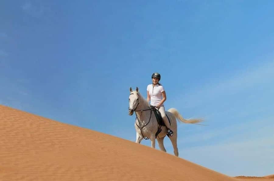 Doha : Arabian Horse Ride Experience With Transfer - Sealine and the nearby Inland Sea