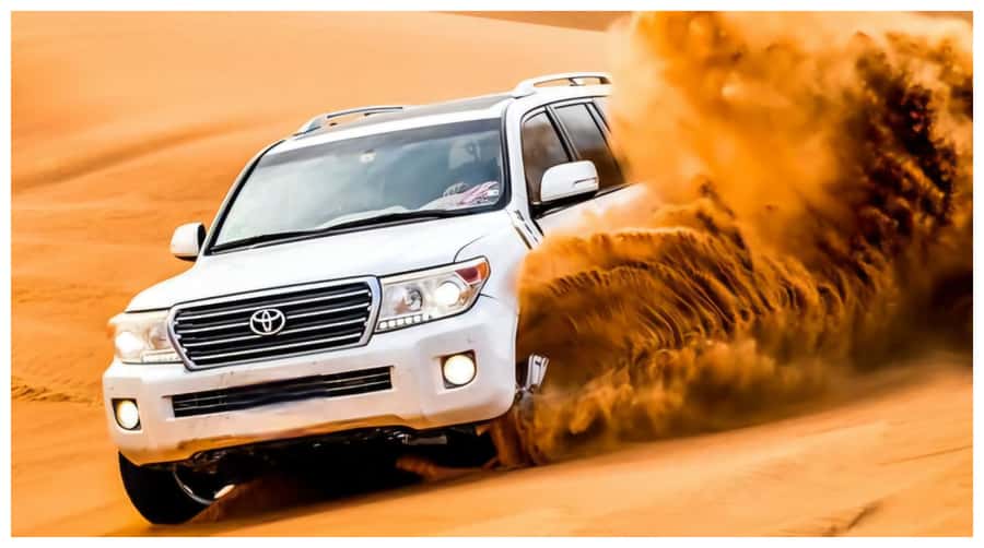 Doha : Arabian Horse Ride Experience With Transfer - Who will enjoy this ride most?