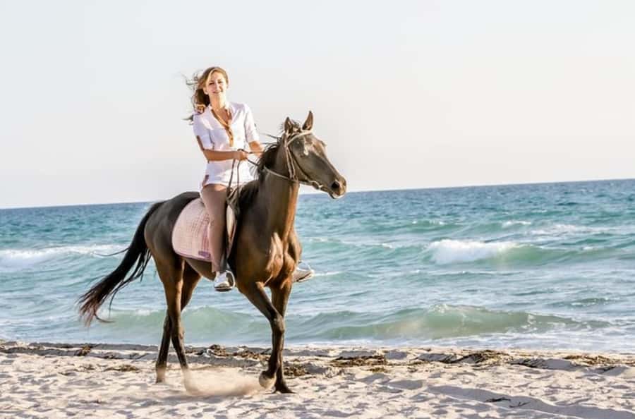 Doha : Arabian Horse Ride Experience With Transfer - Meeting your horse at the equestrian center