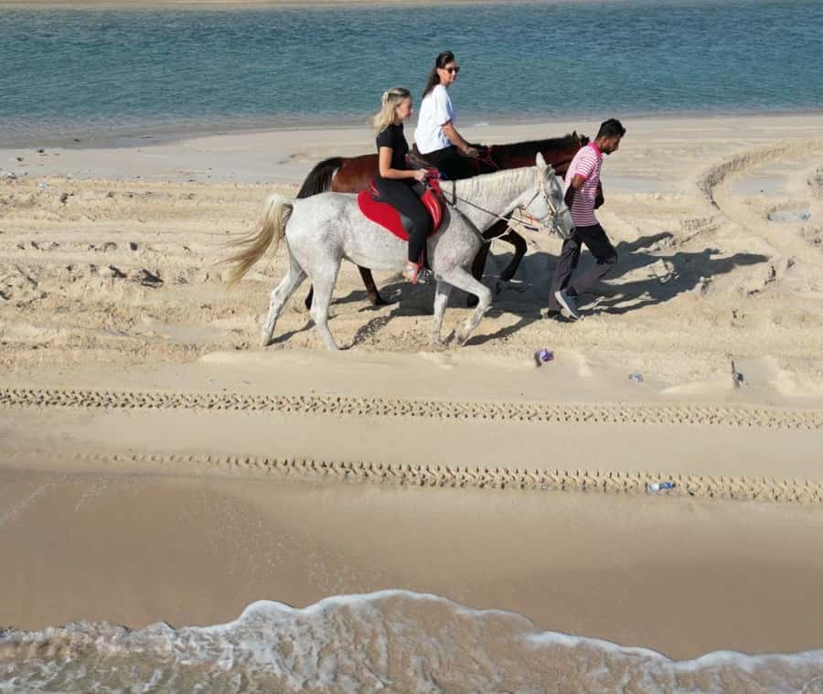 Doha: Arabian Horse Riding Experience –Sea or Desert Options - Key points at a glance