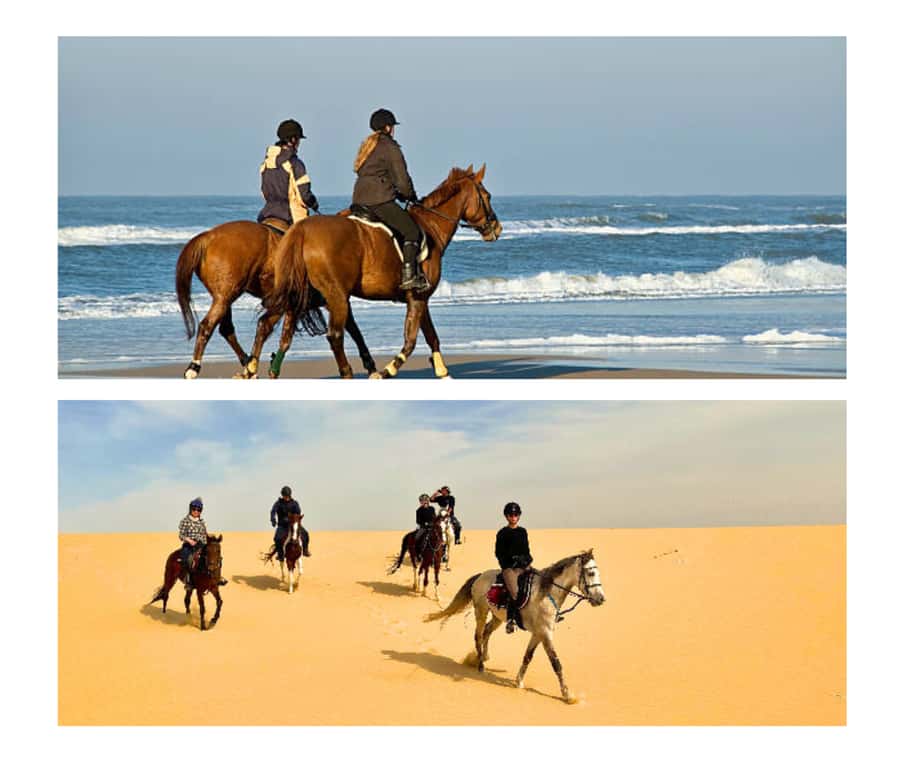 Doha: Arabian Horse Riding Experience –Sea or Desert Options - Mesaieed and the start of the 60-minute ride