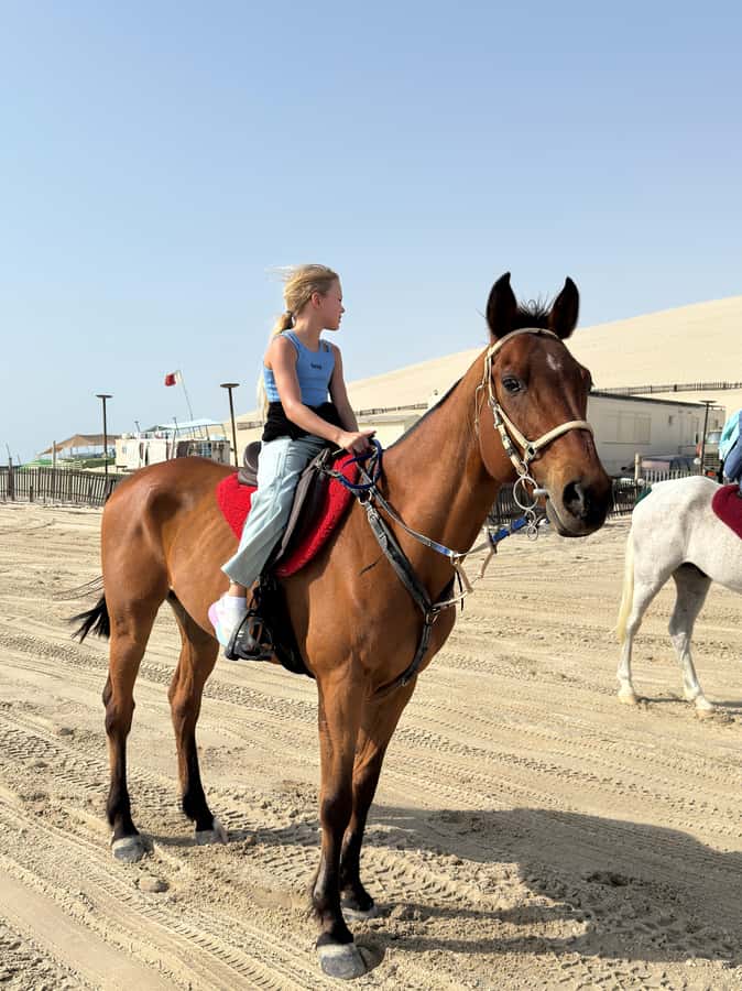 Doha: Arabian Horse Riding Experience –Sea or Desert Options - Sea-side riding for views and easy photographs