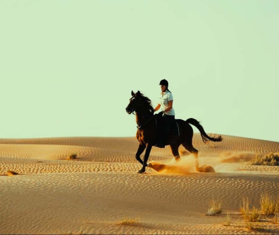 Doha: Arabian Horse Riding Experience –Sea or Desert Options - Desert riding at sunset