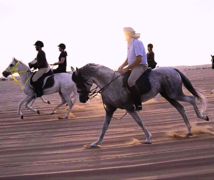 Doha: Arabian Horse Riding Experience –Sea or Desert Options - Guides who make beginners feel comfortable