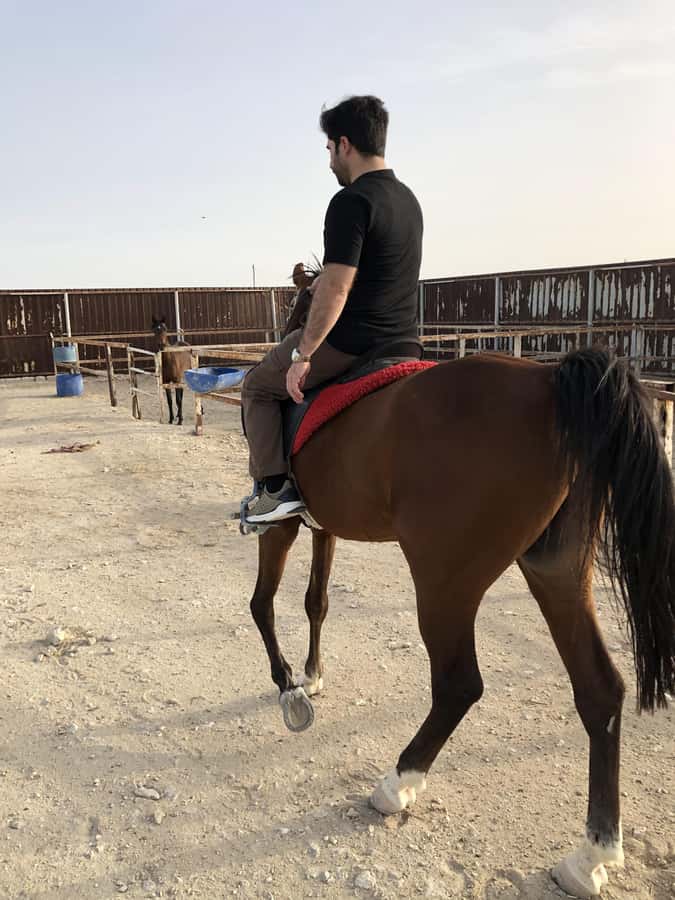 Doha: Arabian Horse Riding Experience –Sea or Desert Options - Who should book, and who should skip it