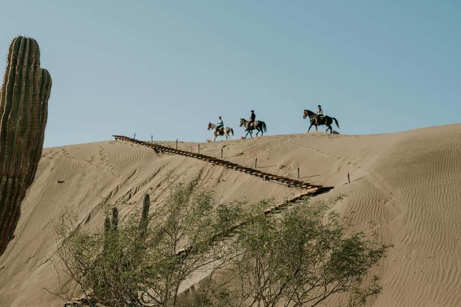 Doha: Arabian Horse Riding Experience –Sea or Desert Options - FAQ