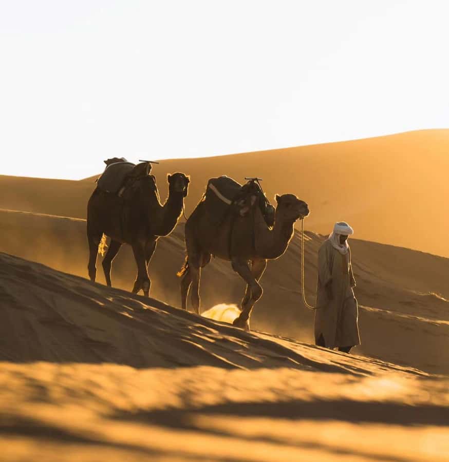 Doha: ATV/Desert Safari with Activities and Inland Sea Stop - Dune bashing across the Golden Dunes