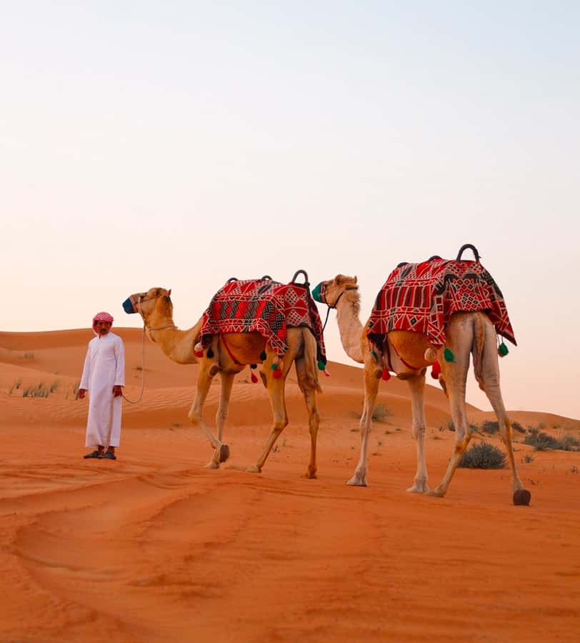 Doha: ATV/Desert Safari with Activities and Inland Sea Stop - Sandboarding is easy to try and hard to resist