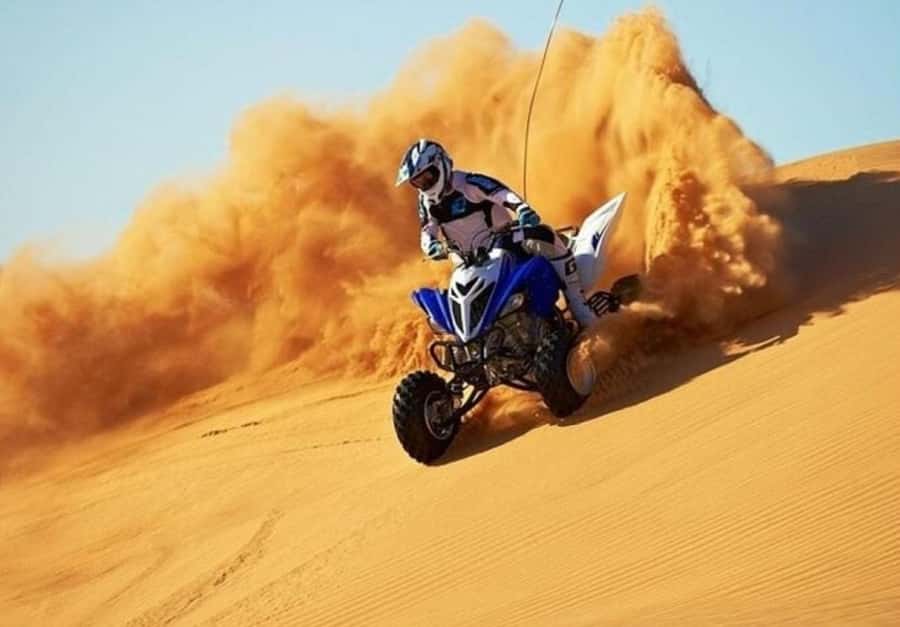Doha:ATV,Quad or Buggy Dune Bashing,CamelRide & Sandboarding - Tea, camels, and a short camp stop