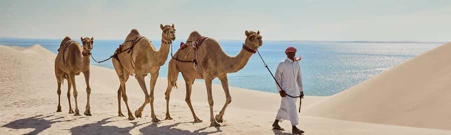 Doha: ATV/Quad, Safari 4x4, Camels, Sandboarding& Inland Sea - Guide quality and safety