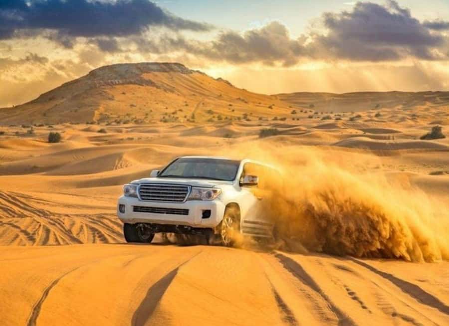Doha: Budget Friendly Desert Safari,CamelRide & Sandboarding - Dune bashing across Qatar’s golden sand
