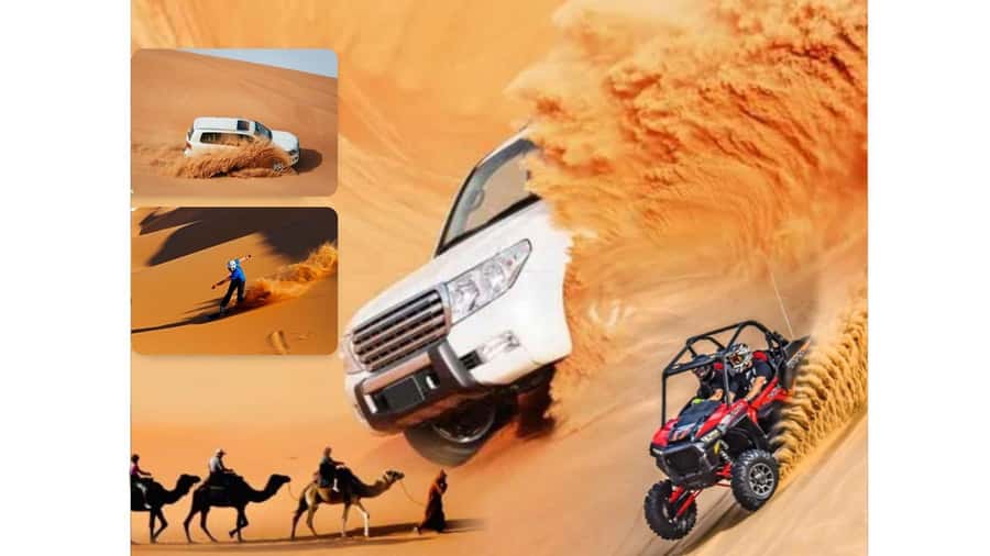 Doha: Budget Friendly Desert Safari,CamelRide & Sandboarding - Sandboarding for beginners and confident riders