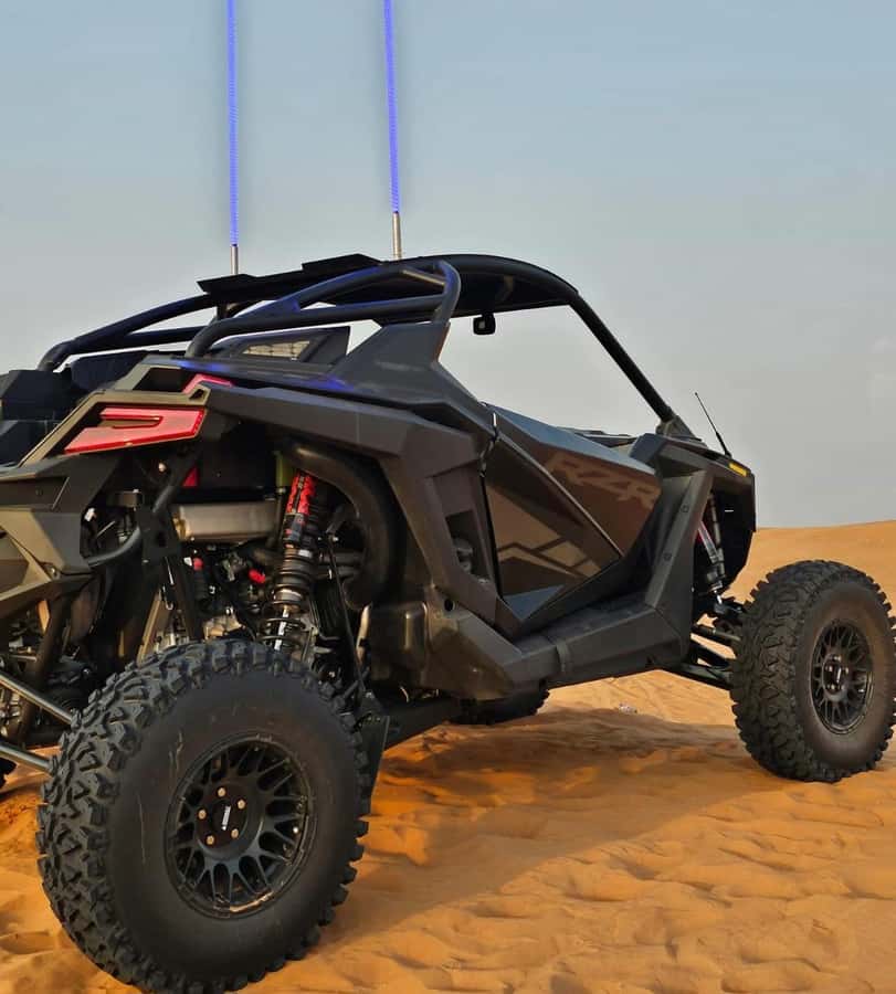Doha: Buggy Adventure and desert safari - Key details before you book
