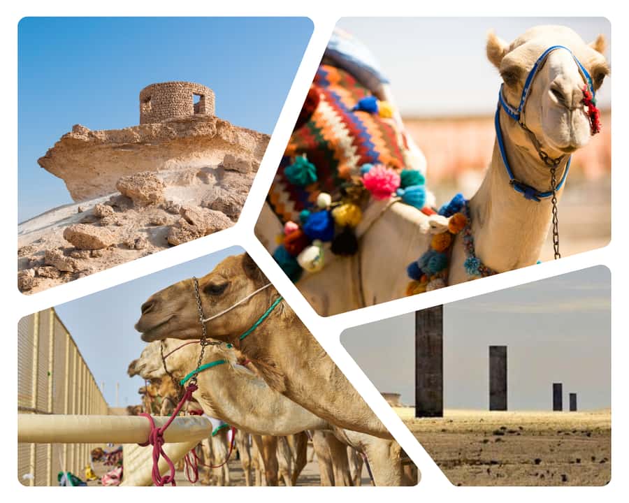 Doha Camel Race Track & Richard Serra Desert Sculpture Tour - Key points to know before booking