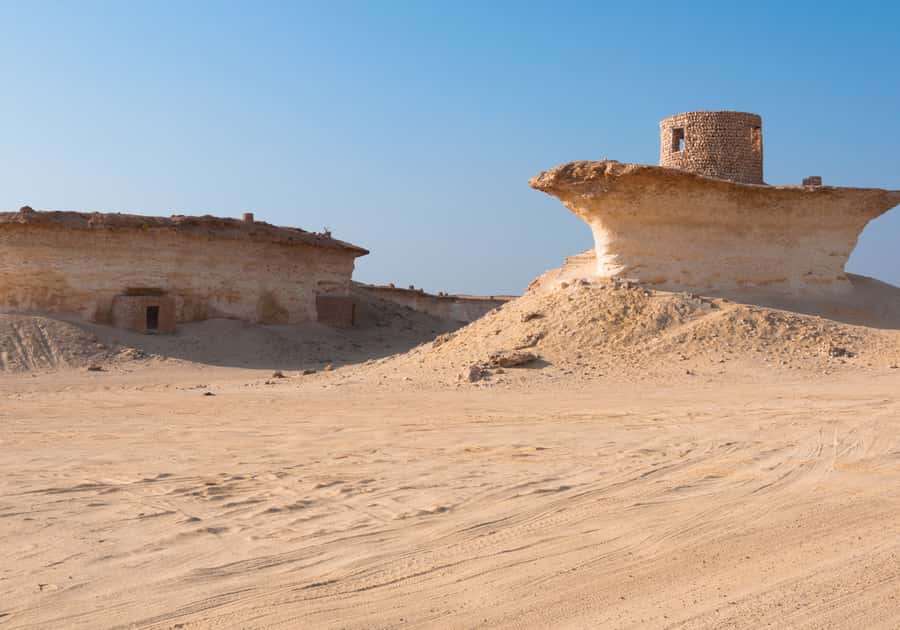 Doha Camel Race Track & Richard Serra Desert Sculpture Tour - Who should book this tour?