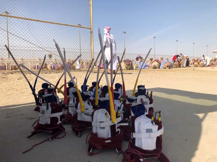 Doha Camel Racing Track: Oryx Farm & Sheikh Faisal Museum. - Key points to know before booking