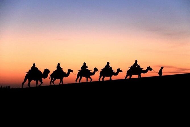 Doha City and Desert Safari Tours (Combo Tour) - West Bay and Lusail: Qatar’s New Face