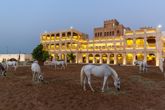 Doha City Highlights Guided Tour With Dhow Cruise - Katara Cultural Village in about an hour