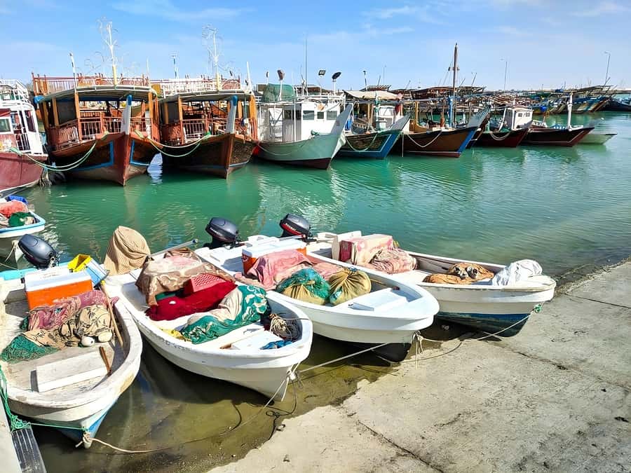 Doha: Combo Heritage & Art Tour of North and West Qatar - Key points to know before booking