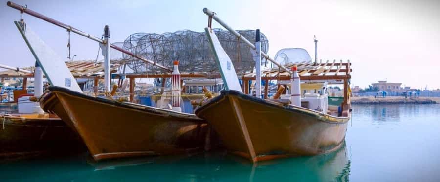 Doha: Combo Heritage & Art Tour of North and West Qatar - Al Ruwais: a calm start on Qatar’s northern coast