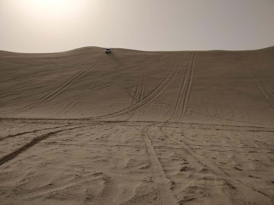 Doha: Combo Private Tour of Desert Safari with ATV Ride - Who will enjoy this desert safari most?