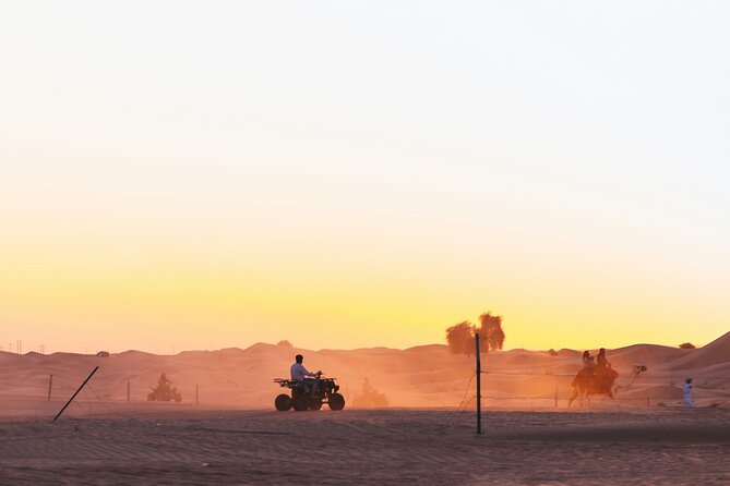 Doha Delights City Tour with Desert Safari and Inland Sea Visit - Camel rides, quad biking, tea, and a falcon