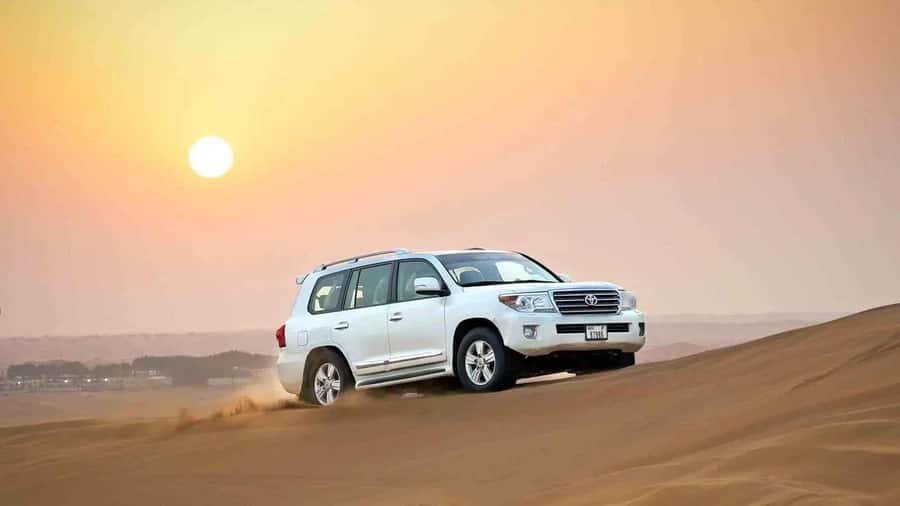 Doha: Desert 4x4, ATV/Quad, Camels, Sandboarding, Inland sea - Key points to know before booking