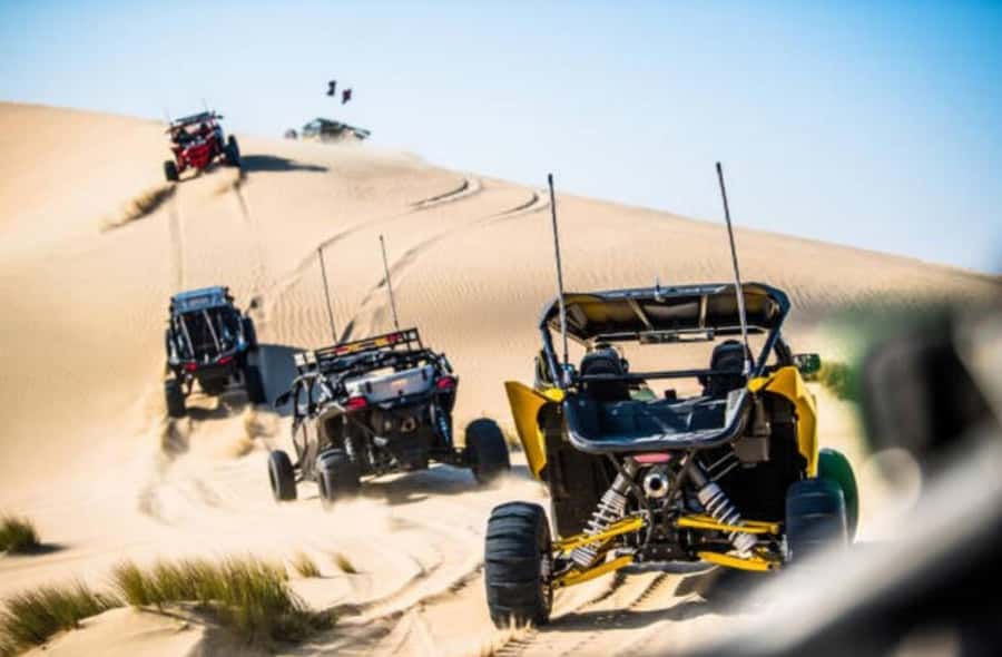 Doha: Desert Buggy Ride, Camel Ride, Dune Bashing, Sandboard - Dune bashing with an experienced 4x4 driver