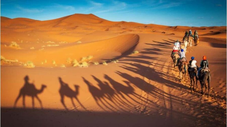 Doha Desert Excursion, Camel Ride, Inland sea, Sandboarding - Reaching Qatar’s Inland Sea