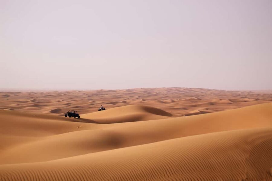Doha Desert Excursion, Camel Ride, Inland sea, Sandboarding - Should You Book It?