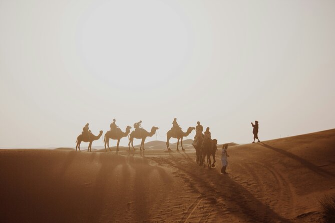 Doha Desert Excursion Dune Bashing Sandboarding Camel Ride - Sandboarding and the simple pleasure of the dunes