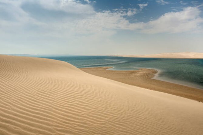 Doha Desert Quad Bike adventure with group, and Sand dune Driving - Quad biking across the sand