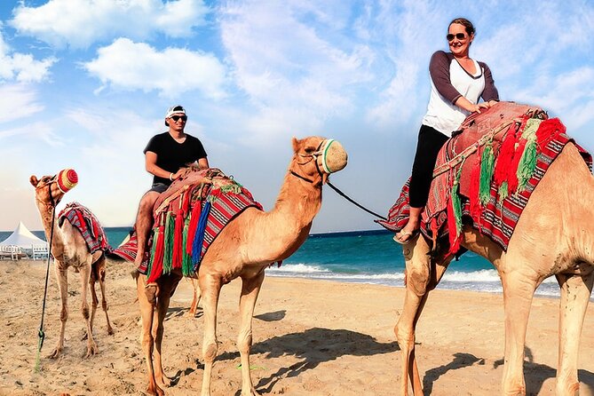 Doha Desert Safari Camel Ride, Sandboarding and Inland Sea - The camel ride: a short taste of desert tradition