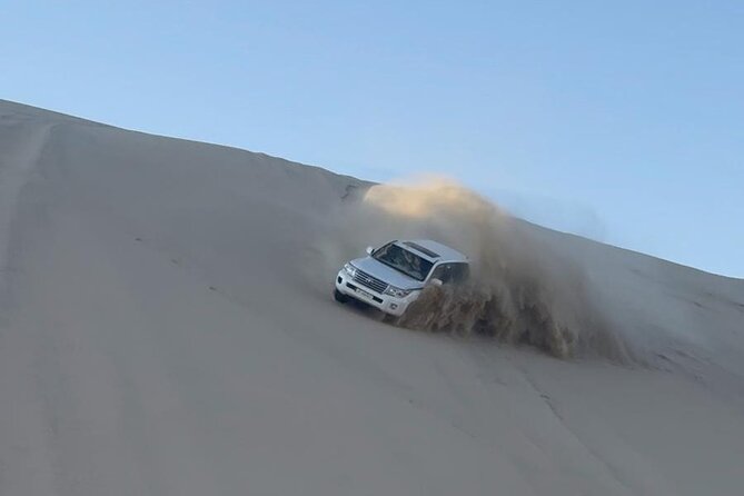 Doha Desert Safari Dune Bashing Camel Ride - Sandboarding on the dunes