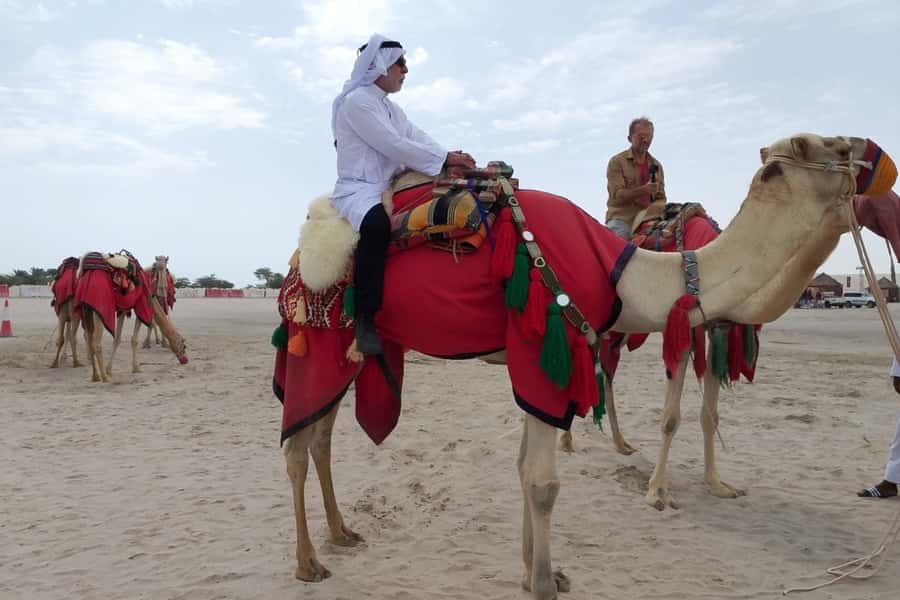 Doha: Desert Safari Dune Bashing, Sandboarding, & Camel Ride - The Inland Sea, where sand meets salt water