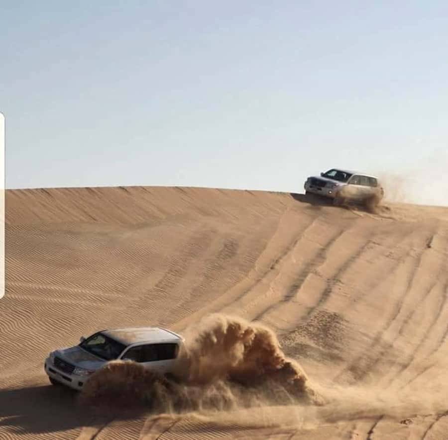 Doha: Desert Safari Dune Bashing, Sandboarding, & Camel Ride - Shared or private: choosing the right format
