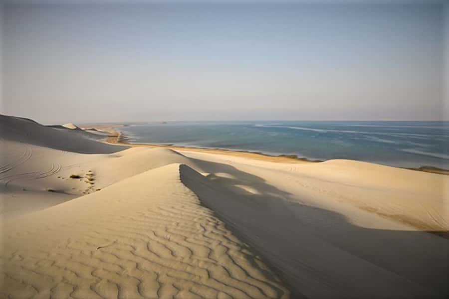 Doha: Desert Safari Dune Bashing, Sandboarding, & Camel Ride - Safety, comfort, and who should skip it