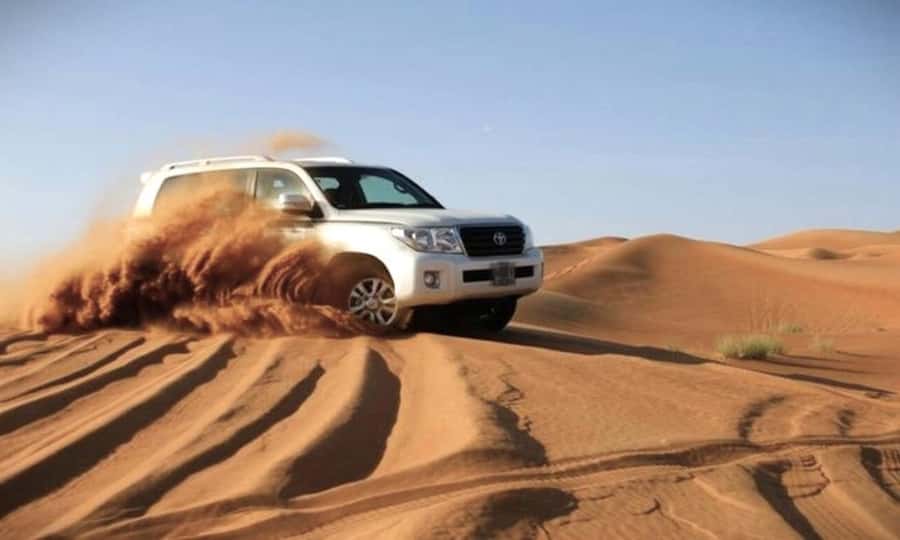 Doha: Desert Safari, Dune Bashing, Sandboarding, Camel Ride - Camels, falcons, and a short Bedouin-style stop